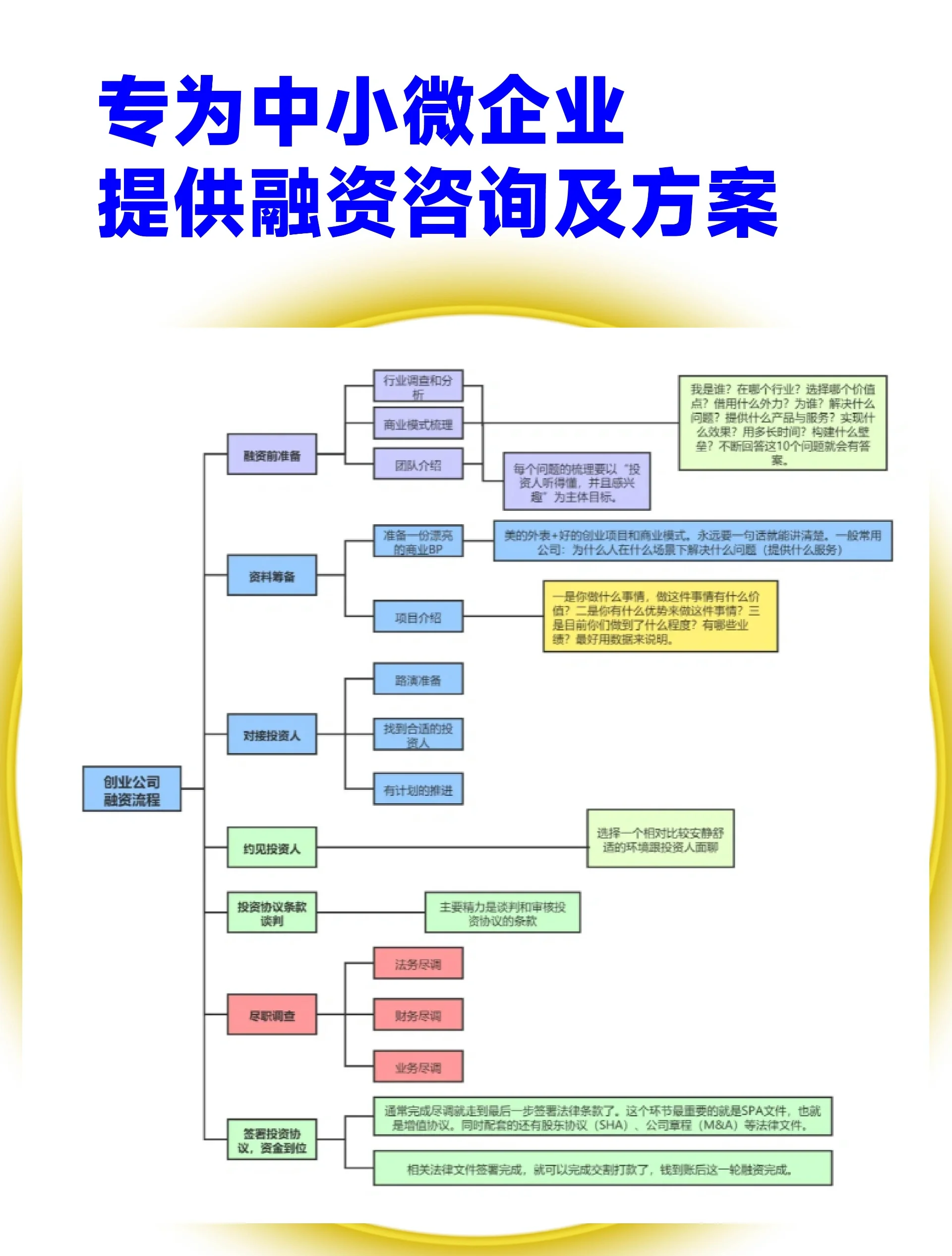 景德镇市宠物企业资金管理(宠物管理机构叫什么)